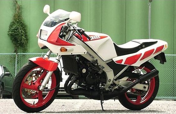 ヤマハ TZR250 1KT